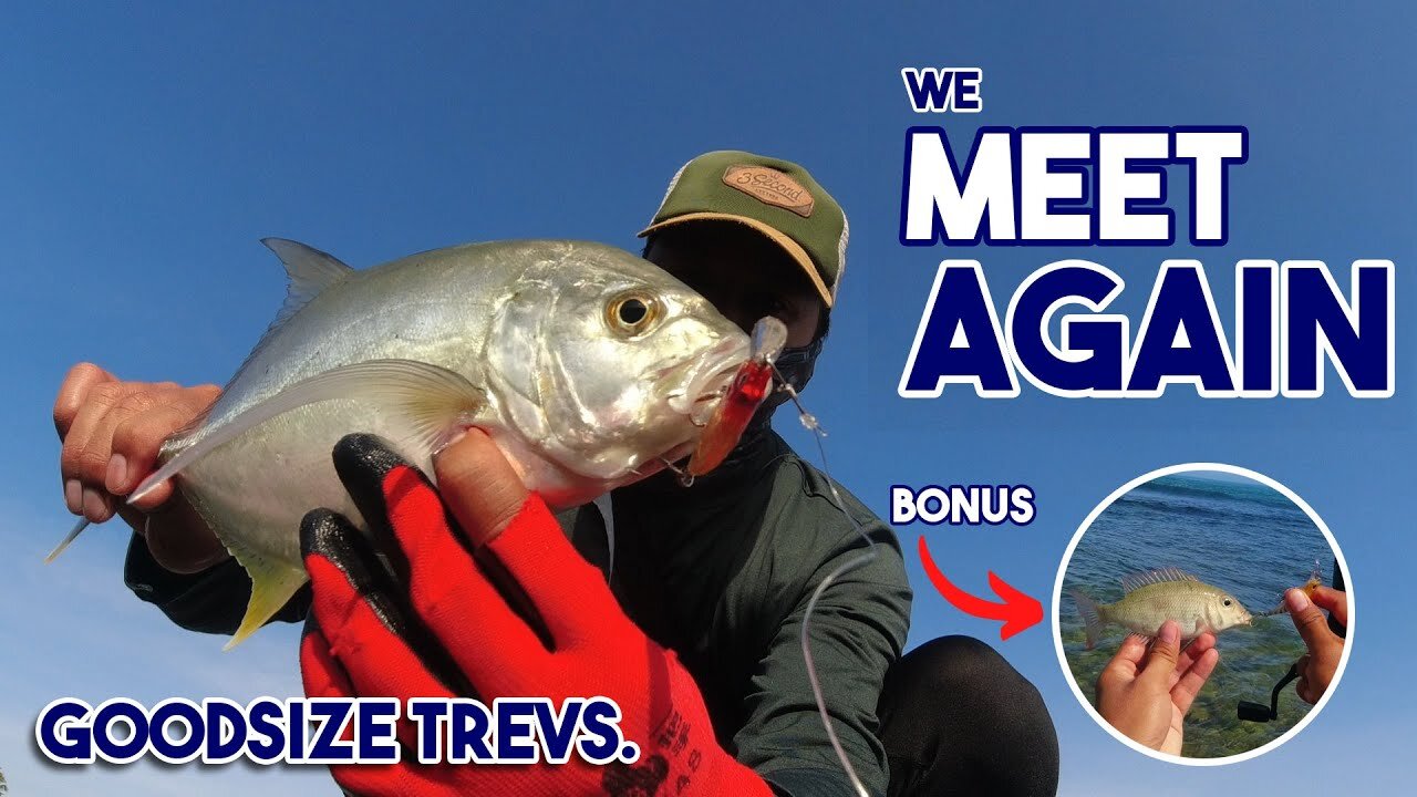 GOODSIZE TREVALLY | HERALDO TV