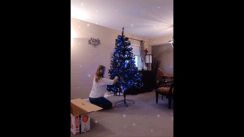 Tree Time Lapse