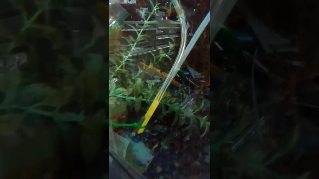 improvement on 3dponics air lift pump