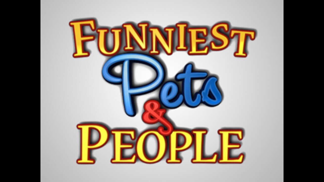 Funniest and cute puppies ever