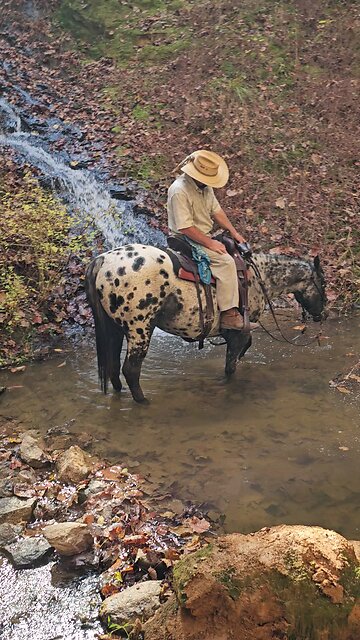 Cooling off! 🎃🐎🎃