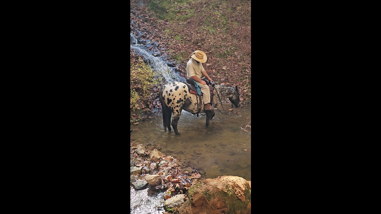 Cooling off! 🎃🐎🎃