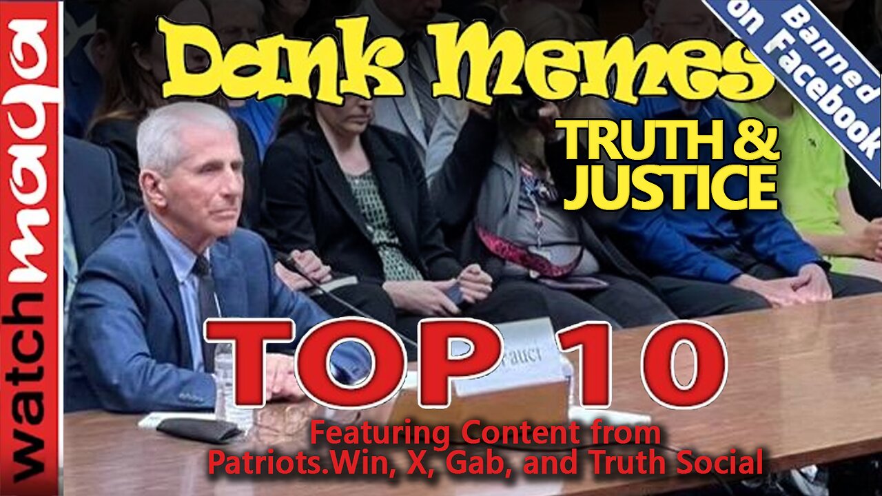 Truth & Justice: TOP 10 MEMES