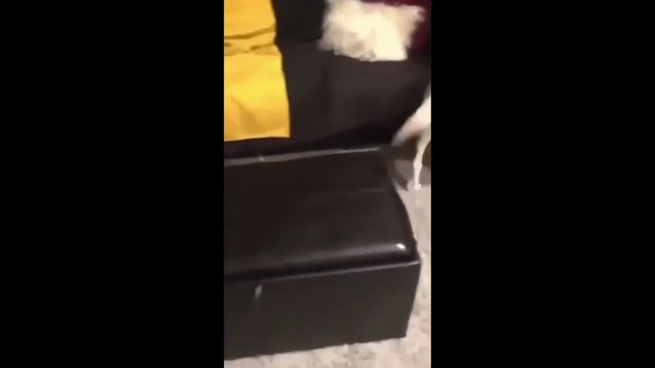 Oopsie