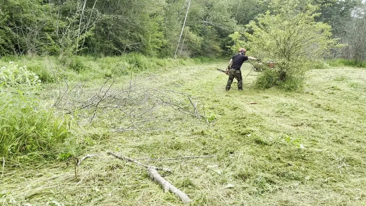 Ventrac 4500Y diesel with tough cut clearing the rest of the tall grass and brush and I chainsaw.