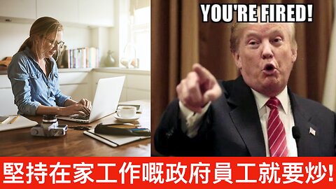 老侵認為堅持在家工作要炒魷因有損國計／三藩市仍行極左路線請肥婆倡「體重中立」｜《每日美國時評》2024年12月18日 中部分 Part 2/3