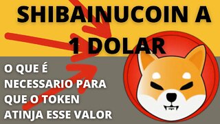 O que #shibainucoin precisa para atingir 1dolar? - 167