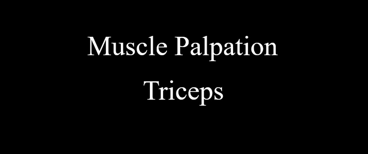 Muscle Palpation - Triceps