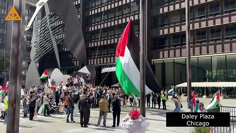 What country is this? Palestinian flag raised at Daley Plaza, Chicago.