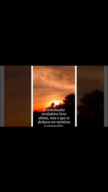 VERSÍCULO DO DIA 10/09/2022.#shorts