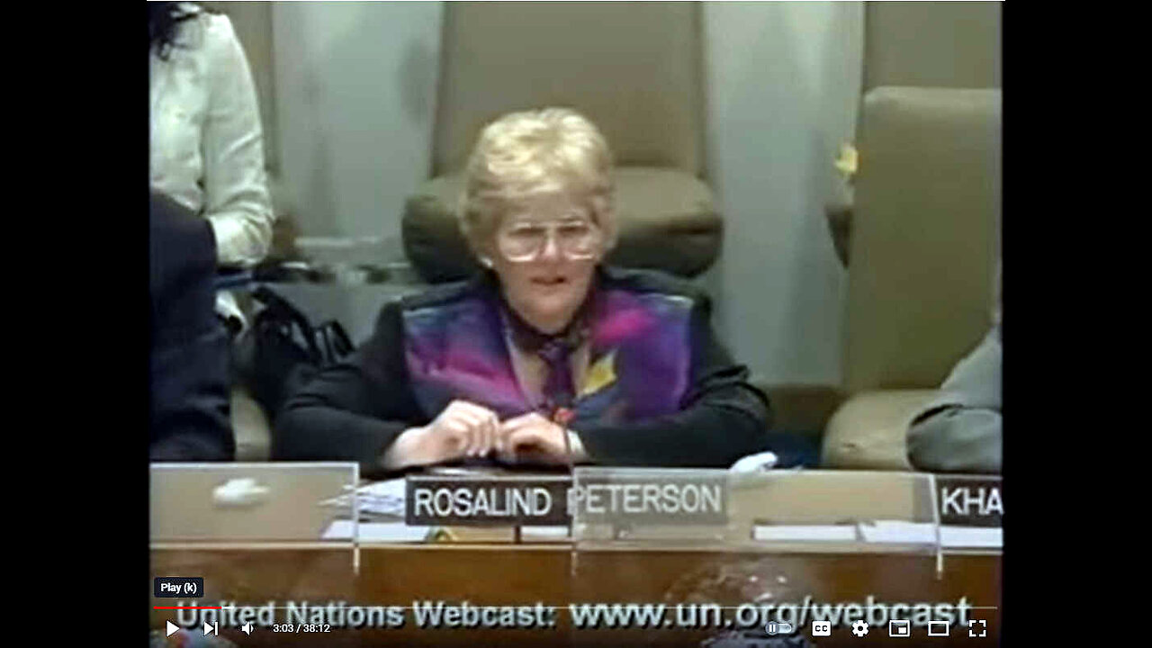 Rosalind Peterson Presents "Chemtrails" at UN Climate Change Conference