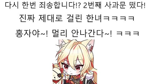 피아노캣 외도 폭로 사건의 가해자 최홍자 2차 사과문이 떴다!