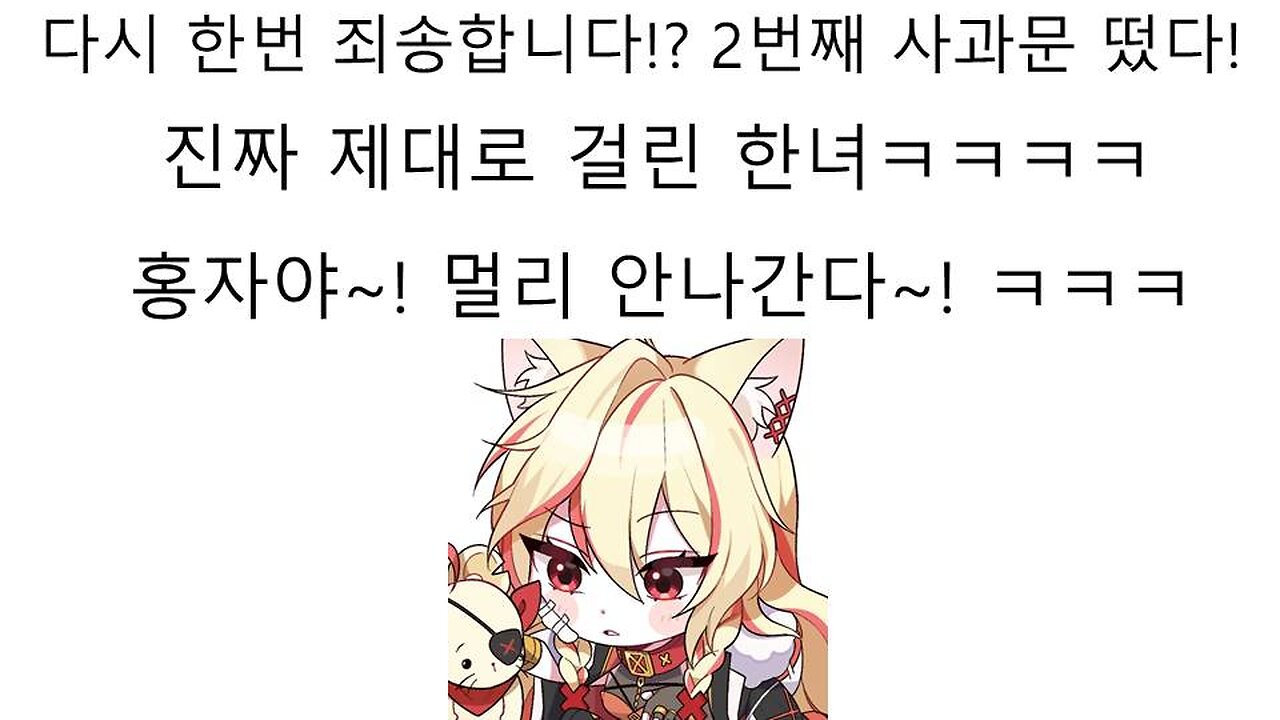 피아노캣 외도 폭로 사건의 가해자 최홍자 2차 사과문이 떴다!
