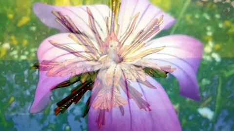 4. Tag Novene zu Ehren von Gott Vater