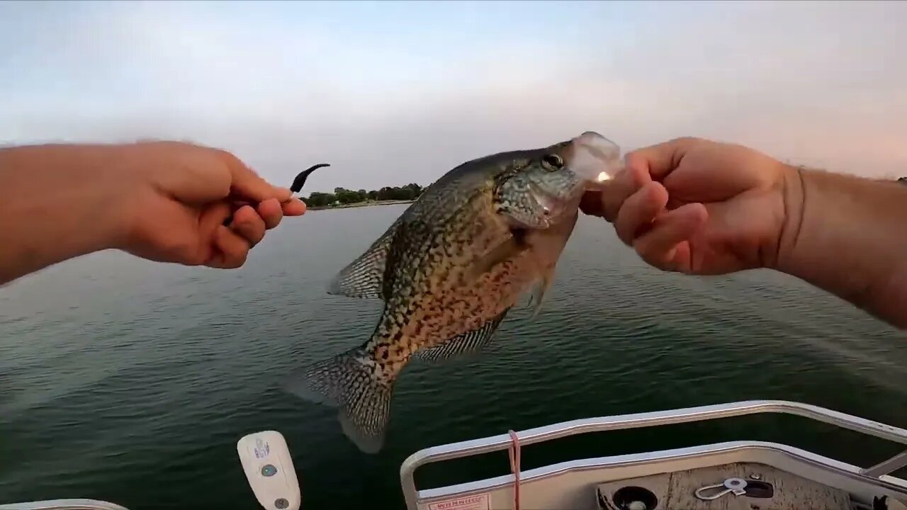 Fishing, post spawn crappie, then some frog gigging, Crappie and frogs