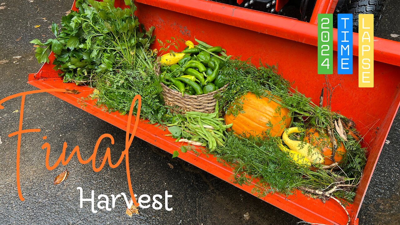 You have to see this Garden TIME LAPSE and our last harvest of the year #homestead #gardentour