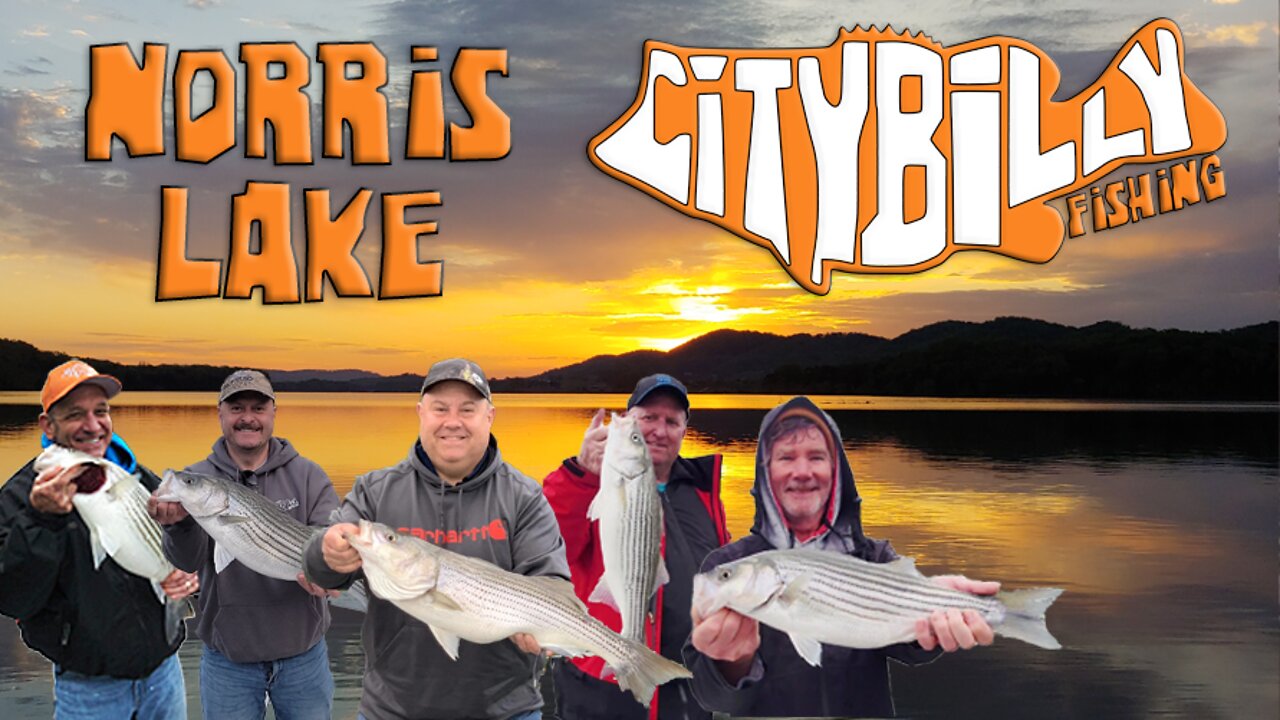 Norris Lake Spring Striper Fishing