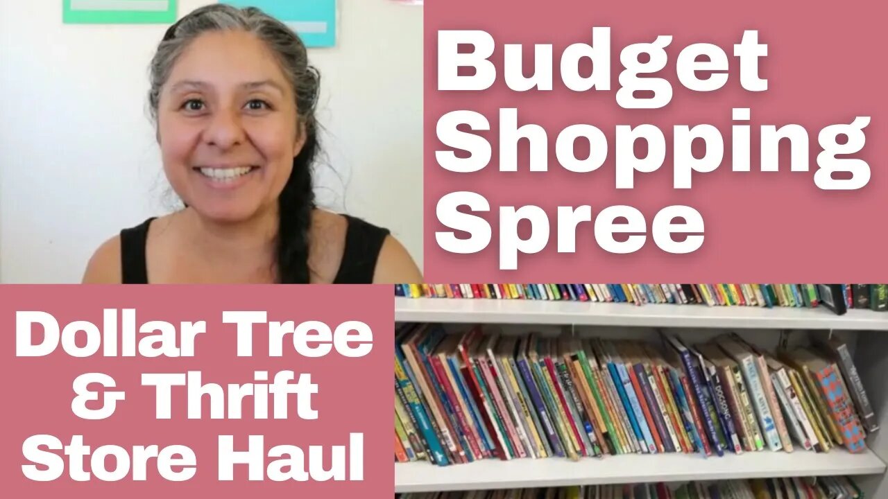 Budget Shopping Spree - Dollar Tree & Thrift Store
