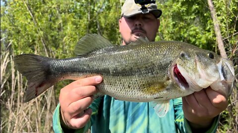 Monster Post Spawn Bass!