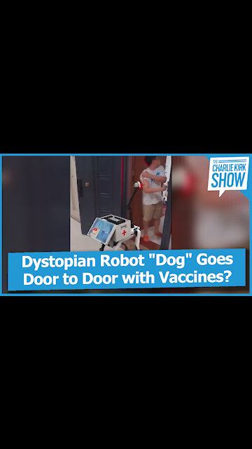 Dystopian Robot "Dog" Goes Door to Door with Vaccines?