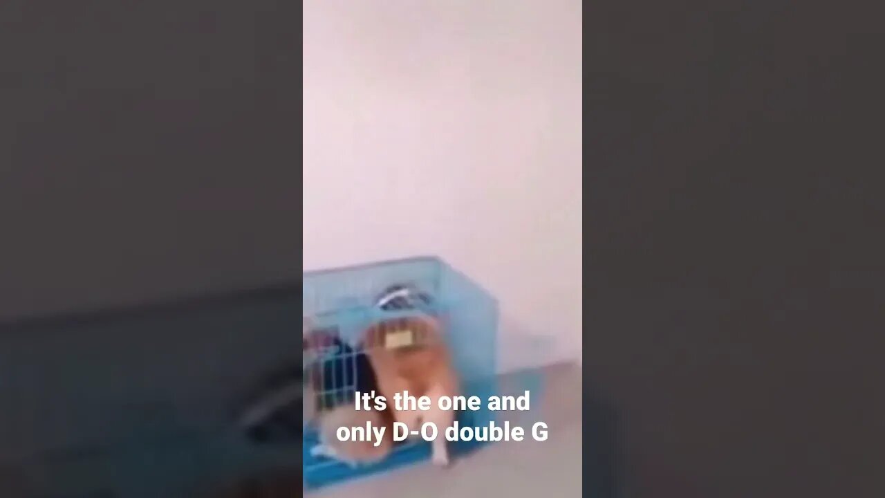 It's the one and only D-O double G #shorts