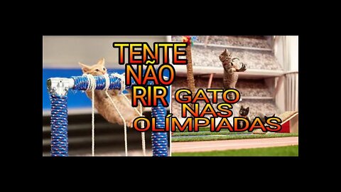 TENTE NÃO RIR - GATO NA OLÍMPIADA MORDIMENTO DE ARGOLA 😆