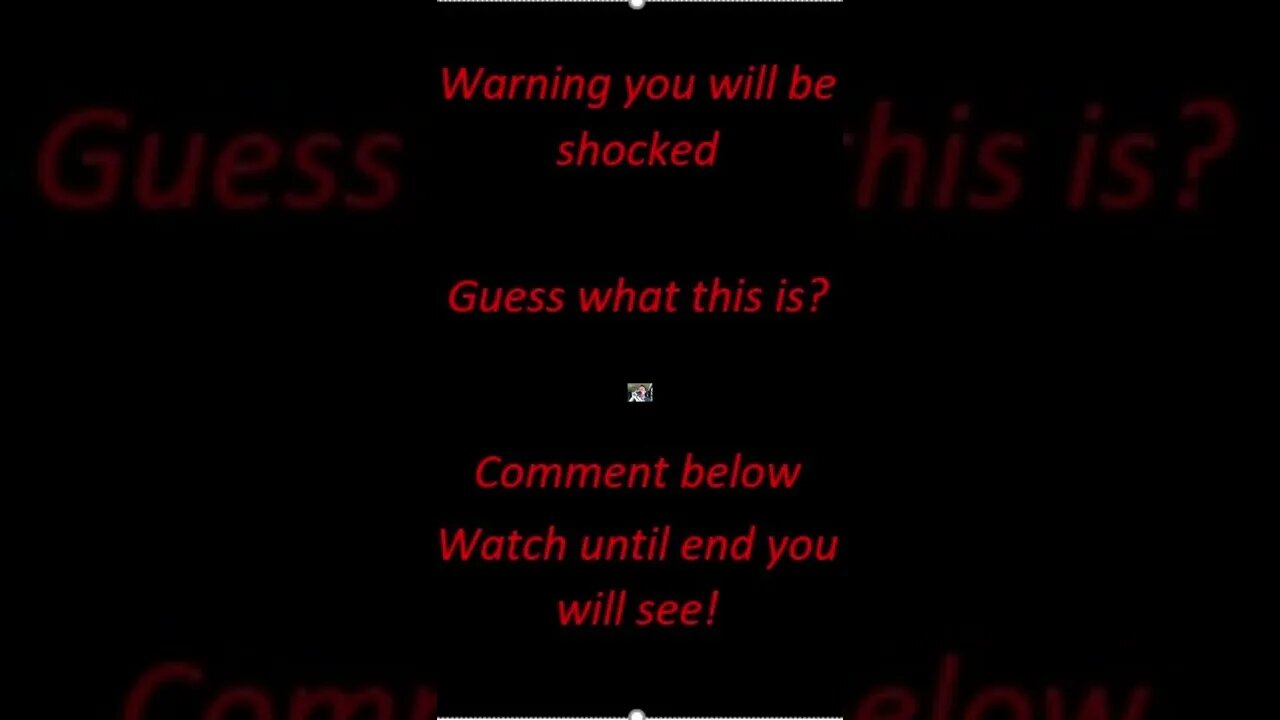 Guess what this is #shorts #cat #surprise