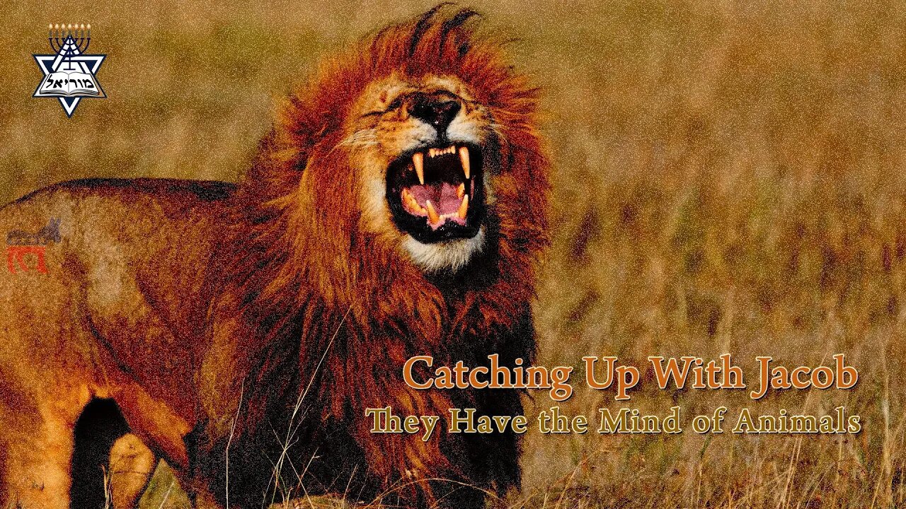 CUWJ Ep 91: They Have the Minds of Animals