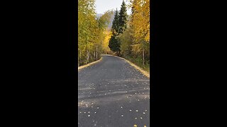 Moving forward