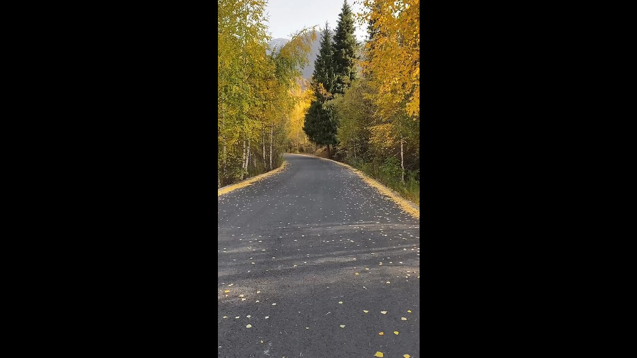 Moving forward