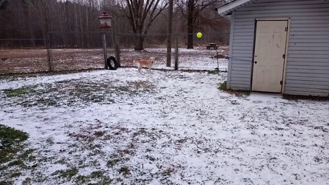 Dixie first snow/ice