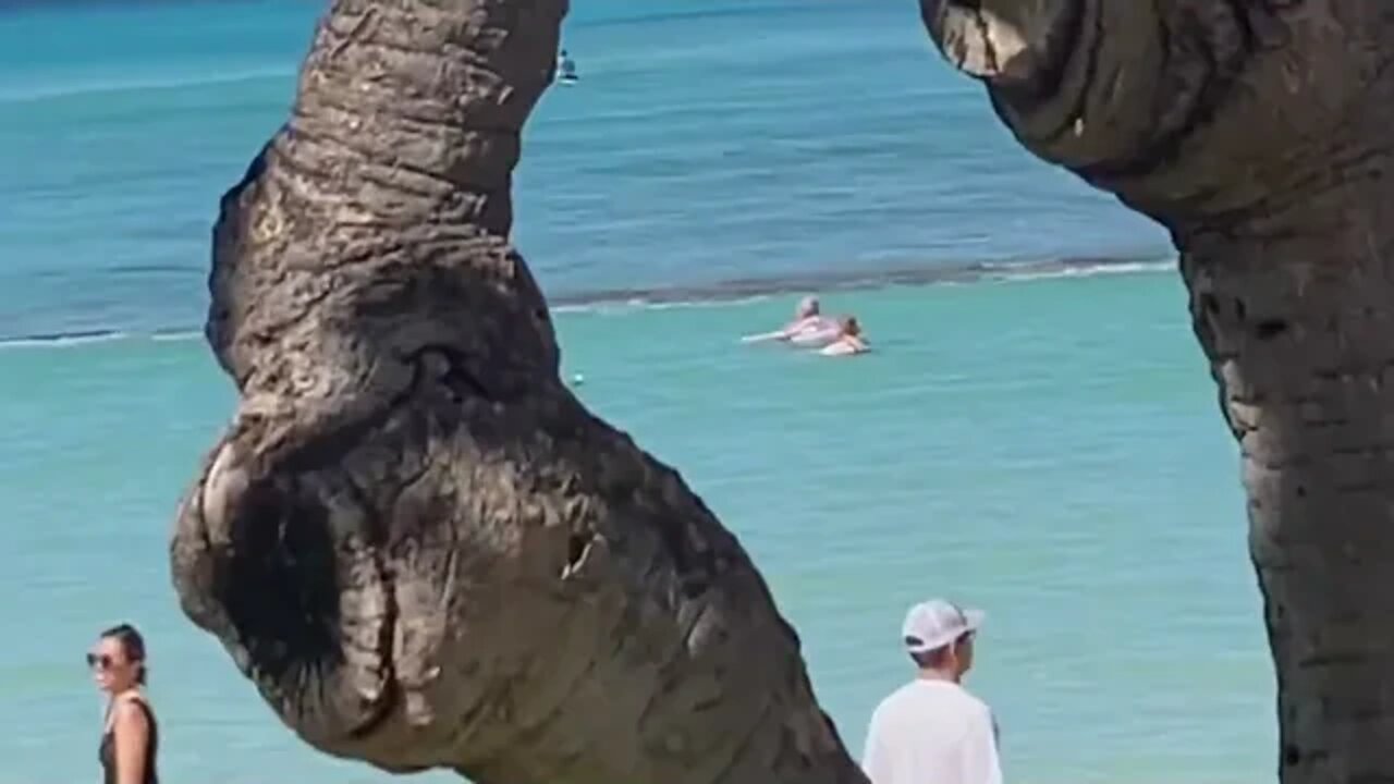 WAIKĪKĪ VIEWS, STORIES & HAWAIIAN HISTORY