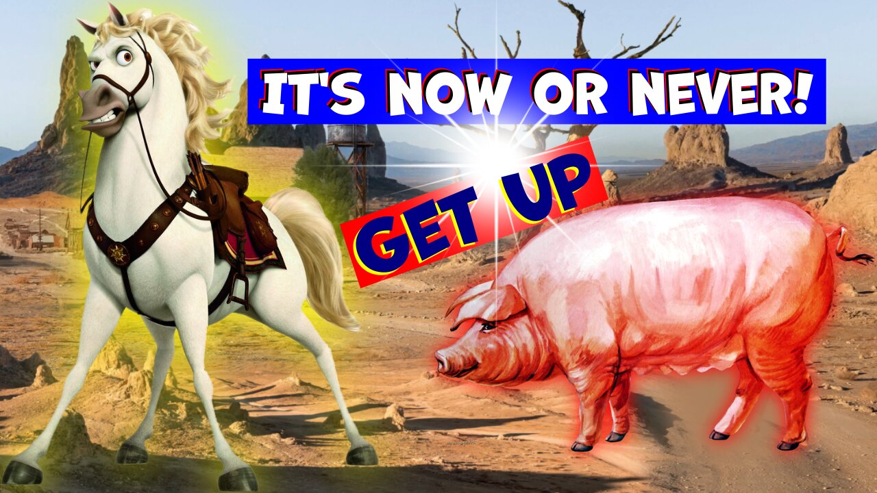 The horse got infected with a dangerous virus | The horse got to his feet and ran! What a miracle!
