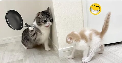 Funny Animal Videos 2023 🥰 - Funniest Dogs and Cats Videos 😁