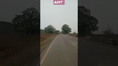 new Safari status amt WhatsApp