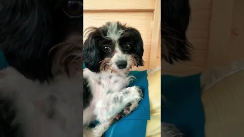 No feels like filming this