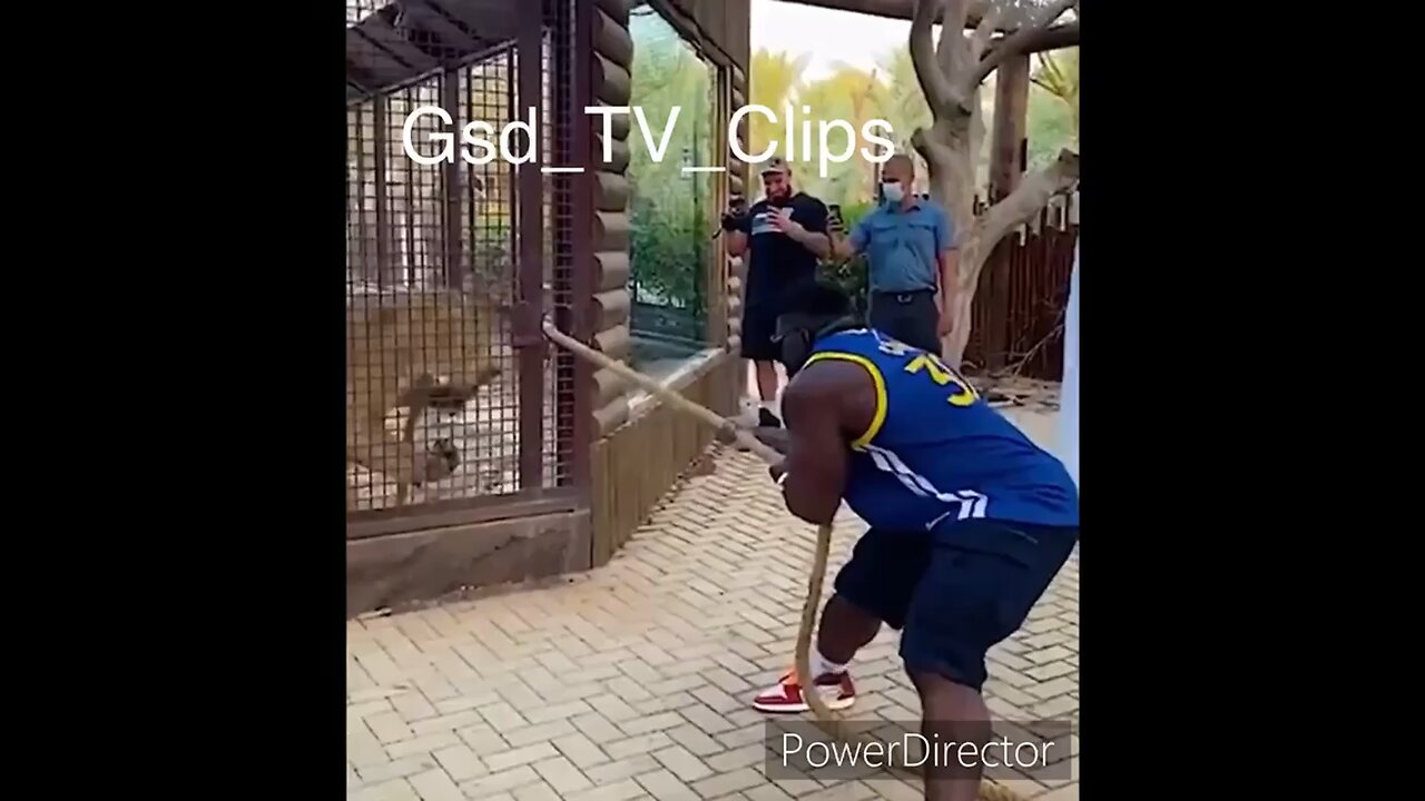 Muscle man plays tug of WAR with Oversized Lion