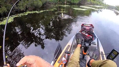 Rick had a great day fishing Cocoplum.