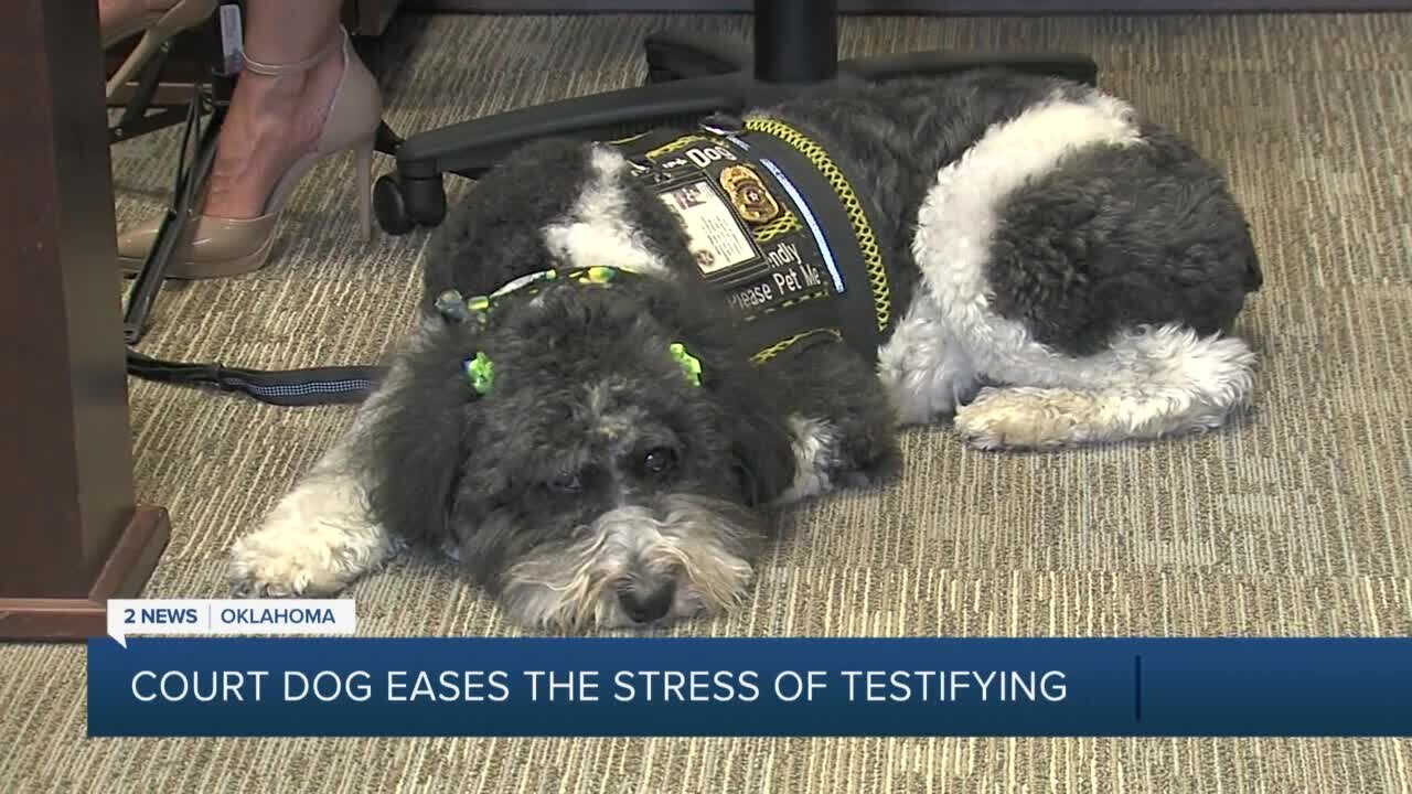 Rogers County court dog eases stress of testimony
