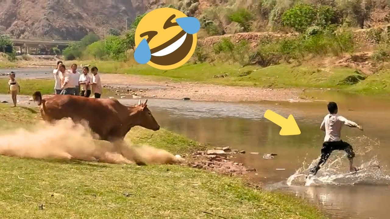 TRY NOT TO LAUGH 🤣🤣 Best Funny Videos compilation - Fail Of Videos 😂