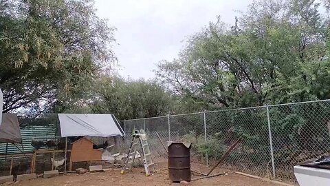 Arizona MONSOON