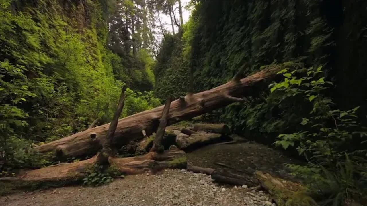 Classical Piano| Relaxation| Meditation| Stress Relief