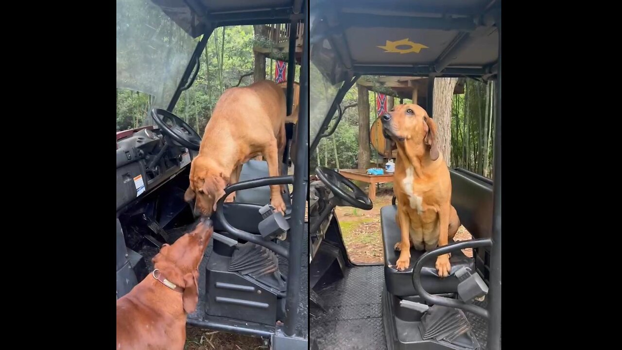 Well, let's go!