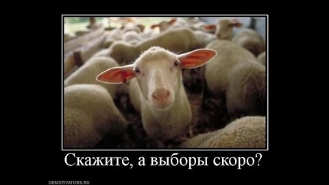 Выборы, выборы, депутаты клоуны.