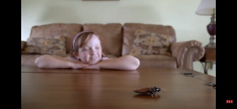 The Girl Who Collects Cockroaches | My Kid's Obsession