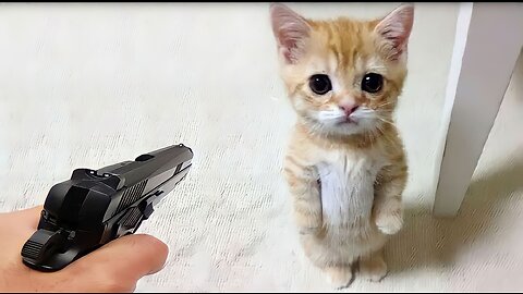 Funniest Animals 2023 😂 Funny Dogs and Cats Videos 😺🐶 Part 1