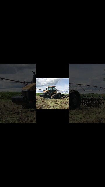 Big Tractor - Clown Horn | In the Field #tractor