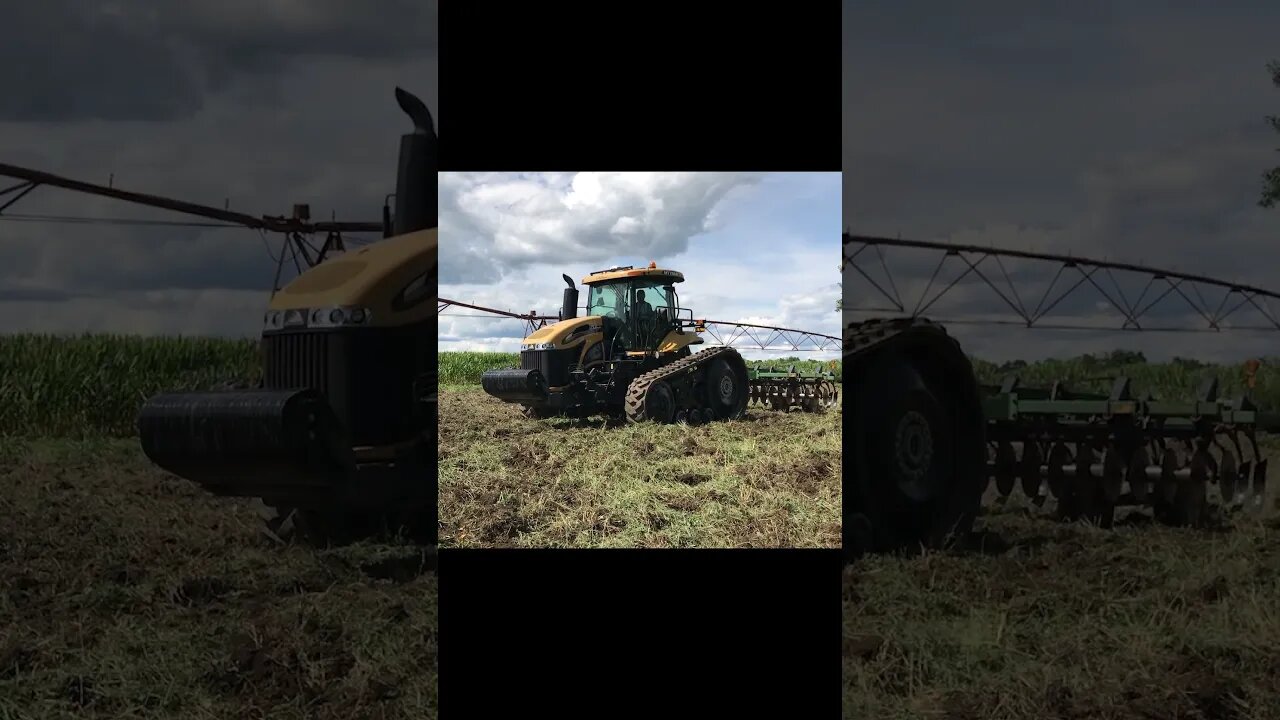 Big Tractor - Clown Horn | In the Field #tractor