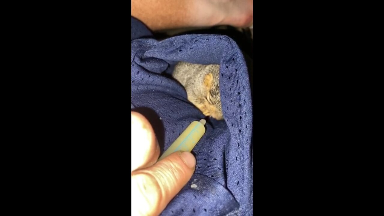 Likes the pocket