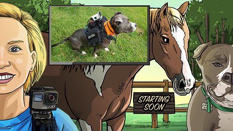 Livestreaming Rescue Dogs at the ARC! [5-3-23] // Grab some coffee and enjoy the sights & sounds